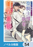うちの捕虜だった聖騎士様の執着が怖いんですが自業自得ですか？【ノベル分冊版】　54