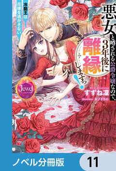 悪女と噂される公爵令嬢なので、3年後に離縁しますっ！　冷酷王は花嫁を逃がさない【ノベル分冊版】　11