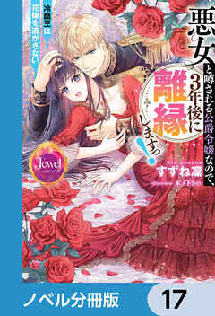 悪女と噂される公爵令嬢なので、3年後に離縁しますっ！　冷酷王は花嫁を逃がさない【ノベル分冊版】　17