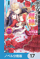 悪女と噂される公爵令嬢なので、3年後に離縁しますっ！　冷酷王は花嫁を逃がさない【ノベル分冊版】　17