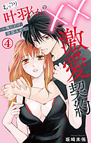 むっつり叶羽くんの××激愛契約～俺にだけ、全部みせて。 4