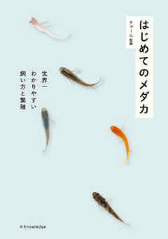 はじめてのメダカ
