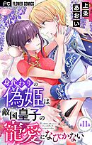 身代わりの偽姫は敵国皇子の寵愛になびかない【マイクロ】 11
