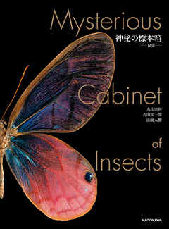 神秘の標本箱　‐昆虫‐