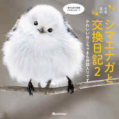 シマエナガと交換日記2 かわいいおこちゃまも仲間入りです