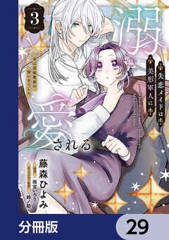 失恋メイドは美形軍人に溺愛される【分冊版】　29