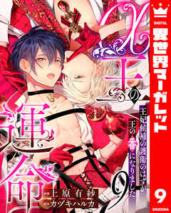 α王の運命～王妃候補の護衛のはずが王の番になりました～