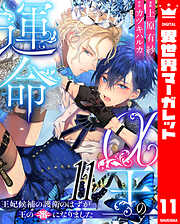 α王の運命～王妃候補の護衛のはずが王の番になりました～