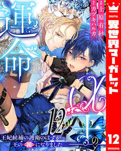 α王の運命～王妃候補の護衛のはずが王の番になりました～ 12