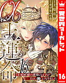 α王の運命～王妃候補の護衛のはずが王の番になりました～ 16