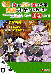 竜王に拾われて魔法を極めた少年、追放を言い渡した家族の前でうっかり無双してしまう～兄上たちが僕の仲間を攻撃するなら、徹底的にやり返します～（コミック） 分冊版 ： 6