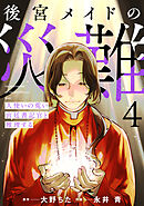後宮メイドの災難～人使いの荒い宮廷書記官と推理する～【電子単行本版】(4)