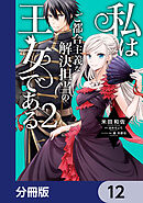 私はご都合主義な解決担当の王女である【分冊版】　12