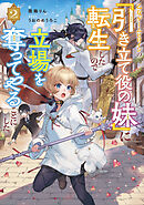 乙女ゲームヒロインの『引き立て役の妹』に転生したので立場を奪ってやることにした。2【電子書籍限定書き下ろしSS付き】