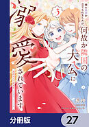 姉に悪評を立てられましたが、何故か隣国の大公に溺愛されています【分冊版】　27