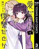 愛だとか復讐だとか 3