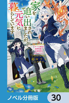 家を追い出されましたが、元気に暮らしています【ノベル分冊版】　30