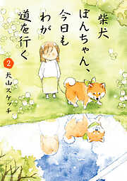 柴犬ぽんちゃん、今日もわが道を行く