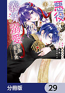 悪役をやめたら義弟に溺愛されました【分冊版】　29