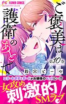 ご褒美は護衛のあとで【マイクロ】 10