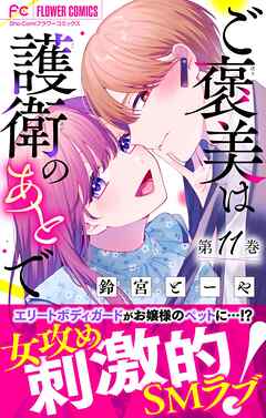 ご褒美は護衛のあとで【マイクロ】 11