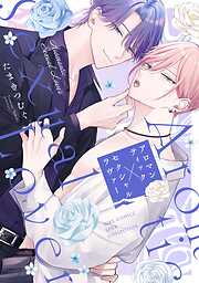 アロマンティック×セクシャルラヴァー