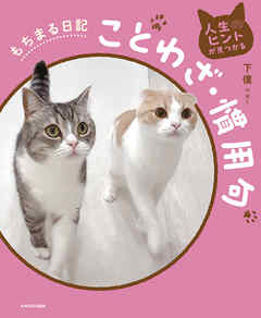 人生のヒントが見つかる　もちまる日記ことわざ・慣用句