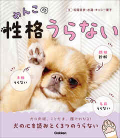 わんこの性格うらない