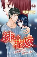緋い花嫁～契約婚と彼と拗れた一族～ 13