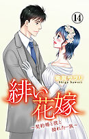 緋い花嫁～契約婚と彼と拗れた一族～ 14