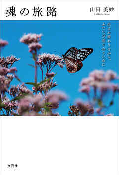 魂の旅路 生まれ変わりながら、ふたたび巡り会うために