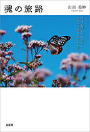 魂の旅路 生まれ変わりながら、ふたたび巡り会うために