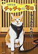 元野良猫チャチャの毎日