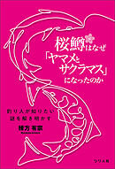 桜鱒はなぜ「ヤマメとサクラマス」になったのか 釣り人が知りたい謎を解き明かす