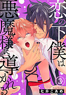 恋の下僕は悪魔様に導かれる3