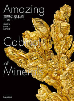 驚異の標本箱　‐鉱物‐