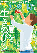 ＮＨＫ やさいの時間  2026年6月・7月号