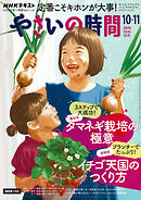 ＮＨＫ やさいの時間  2026年10月・11月号