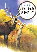 野生動物ウオッチング