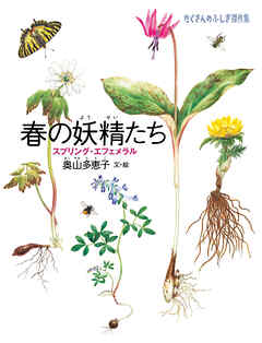 春の妖精たち　スプリング・エフェメラル