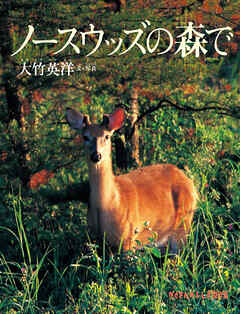 ノースウッズの森で