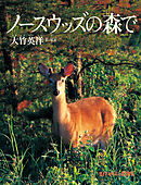 ノースウッズの森で