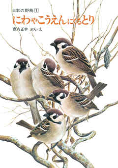 にわやこうえんにくるとり　日本の野鳥１