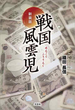 新装版 戦国風雲児