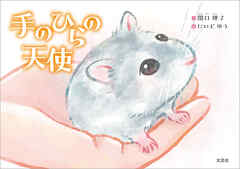 手のひらの天使