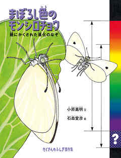 まぼろし色のモンシロチョウ　翅にかくされた進化のなぞ