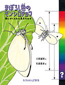 まぼろし色のモンシロチョウ　翅にかくされた進化のなぞ