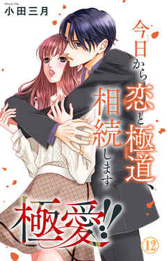 極愛!!　今日から恋と極道、相続します 12