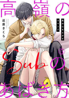 高嶺のSubのあばき方～君の心をとかすコマンド～