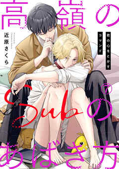 高嶺のSubのあばき方～君の心をとかすコマンド～7